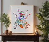 Fly Diptera Bug Insect Stencil (546)