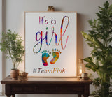 It's a Girl Baby Gender Reveal  Stencil (727)