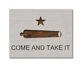 Come and Take it Stencil 2nd Amendment (834)