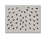 Watermelon Seeds Stencil (893)