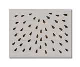 Watermelon Seeds Stencil (893)