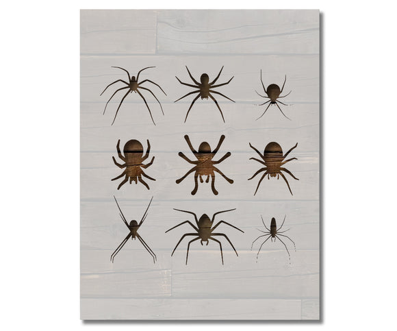 Spiders Arachnids Black Widow Brown Recluse Stencil (779)